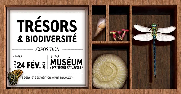 Exposition Trésors & biodiversité